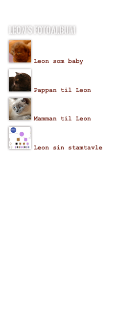 
leon’s fotoalbum
￼

Leon som baby￼

Pappan til Leon
￼

Mamman til Leon
￼

Leon sin stamtavle






